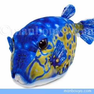 魚 ハコフグ ぬいぐるみ ふぐ リアル さかなクン おさかなぬいぐるみ ハコフグ オス 45cm TST 太洋産業貿易 まんぼう屋ドットコム