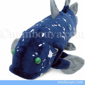 シーラカンス グッズ ぬいぐるみ 深海魚 水族館お土産 A-SHOW 栄商 わくわく図鑑 37cm まんぼう屋ドットコム