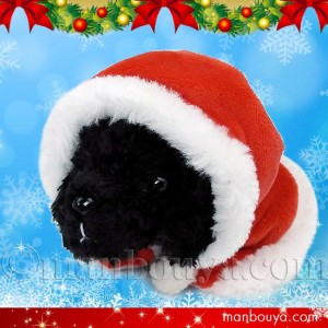 クリスマス ぬいぐるみ 犬 プードル ブラック サンタフードマント Little Beans リトルビーンズ【メール便発送可】まんぼう屋ドットコム