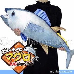 大きい 魚 マグロ ぬいぐるみ 海洋生物 どお〜んっとマグロ BIG 80cm セイル まんぼう屋ドットコム