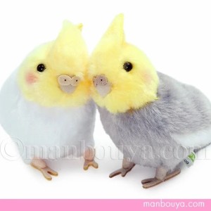 吉徳 ぬいぐるみ オカメインコ グッズ プレゼント かわいい ことりのね 白 グレー 11cm まんぼう屋ドットコム