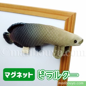 ピラルク ぬいぐるみ 魚 テイクオフ takeoff サファリマグネット ピラルクー 15.5cm【メール便発送可】まんぼう屋ドットコム