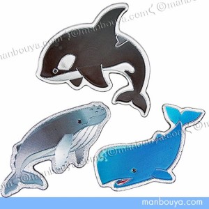 水族館お土産 海の生き物 グッズ エッチングダイカットマグネット シャチ クジラ 単品【メール便発送可】まんぼう屋ドットコム