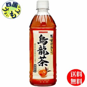 サンガリア 一休茶屋 すばらしい烏龍茶 (500mlペットボトル×24本）1ケース 24本