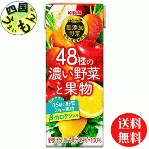 キリン無添加野菜４８種の濃い野菜と果物   (200ml紙パック ×24本入) １ケース