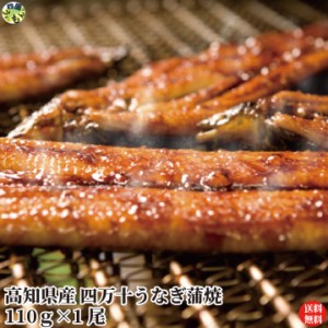 【送料無料】四万十うなぎ蒲焼 110g×1尾　タレ付き 真空パック 蒲焼き うなぎ 四万十うなぎ 高知県 冷凍クール便 【四国物産】