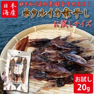 おつまみ ホタルイカ 素干し (20g) お試しサイズ おつまみ ほたるいか 干物 珍味  晩酌 ギフト 日本海産 無添加食品 美味しい お試し 美