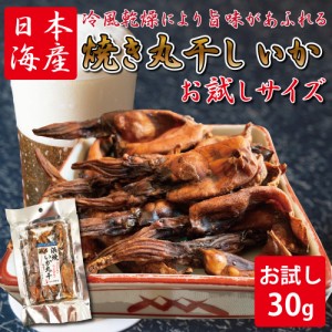 おつまみ イカ 肝入り 焼き丸干いか (30g) お試しサイズ 干物 珍味  焼き ワタ入り 一口サイズ おつまみ 美味しい 産地 酒の肴 海鮮 北陸