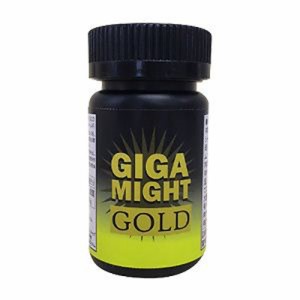 【ギガマイトゴールド（GIGA MIGHT GOLD）】男性サポートサプリメント メンズ