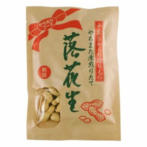 ＜やちまたフーズ＞ 千葉県八街産 落花生 やちまた産 中手豊 （新豆入荷） 120g おためし クラフト袋 殻付き煎りたて落花生 千葉県産 国