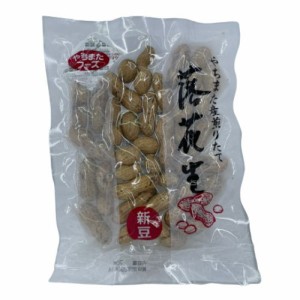 落花生 やちまた産 中手豊 （新豆入荷） 70g おためし  殻付き煎りたて落花生 千葉県産 国産 手土産 やちまた 八街市 (70g)