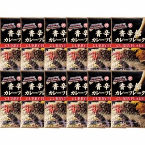 【12袋セット】香辛館カレーフレーク 1kg  テーオー 本格 スパイス 自宅で簡単 本格カレー まとめ買い 大容量  ルー カレールー