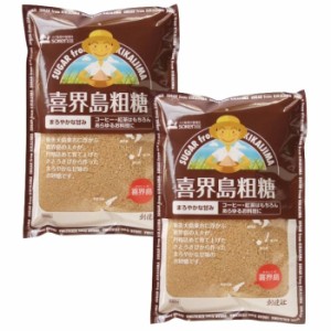 【2袋セット】喜界島粗糖 500g 創健社 天然 無添加 不要な食品添加物 化学調味料不使用 自然食品 サトウキビ