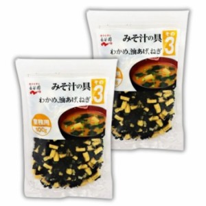 【2個セット】永谷園 業務用 みそ汁の具【その3(わかめ、油あげ、ねぎ)】100g 味噌汁 大容量 味噌汁の具 乾燥具材