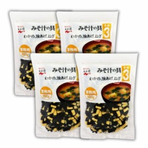 【4個セット】永谷園 業務用 みそ汁の具【その3(わかめ、油あげ、ねぎ)】100g 味噌汁 大容量 味噌汁の具 乾燥具材