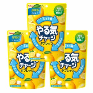 【3袋セット】カバヤ食品 やる気チャージタブレッツ 79g×3袋 熱中症対策 タブレット グッズ 真夏日 運動部 部活 塩分補給 クエン酸