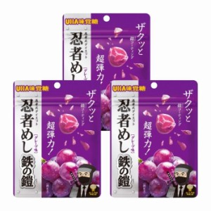 3袋セット UHA味覚糖 忍者めし 鉄の鎧 グレープ味 40g ハード食感 グミ ぐみ