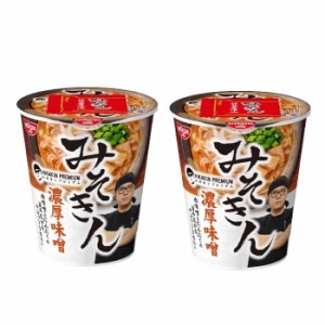 2個セット HIKAKIN PREMIUM カップ麺 みそきん濃厚味噌ラーメン メシ みそきん ヒカキン