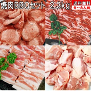 牛タン バーベキューセット 肉 BBQ 肉 塩タン 焼肉 焼き肉 焼肉セット 焼き肉セット バーベキュー 牛肉 バーベキュー肉 バーベキュー 食