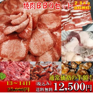 焼肉 【50%OFF sale 13,14日】焼き肉 焼肉セット 焼き肉セット 牛肉送料無料 牛肉焼き肉 バーベキュー 食材 牛タン 塩タン 薄切り BBQ 肉