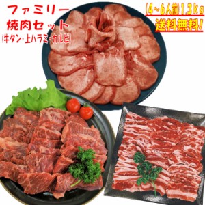 牛タン バーベキューセット 肉 BBQ 肉 塩タン 薄切り 焼肉 焼き肉 焼肉セット 焼き肉セット BBQ肉セット BBQ 食材 バーベキュー 食材 焼