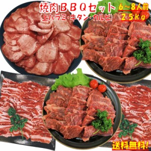 牛タン バーベキューセット 肉 BBQ 肉 焼肉 焼き肉 焼肉セット 焼き肉セット 塩タン 2.5kg 薄切り 焼き肉 バーベキュー 肉 バーベキュー 