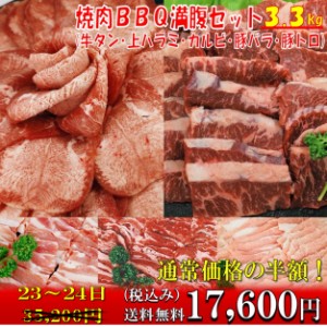 牛タン 【50%OFF sale 23,24日】バーベキューセット 肉 BBQ 肉 塩タン 3.3kg 薄切り 焼肉 焼き肉 焼肉セット 焼き肉セット bbq肉セット 