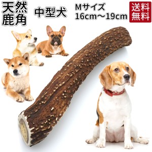 鹿の角 16〜19cm ガム おまけ付 | 送料無料 犬 おやつ 無添加 どっぐふーどる 国産 鹿角 口臭予防 歯石取り おもちゃ 犬のおやつ ドッグ