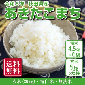 送料無料！！　あきたこまち 玄米30kg（精米後27kg） 令和5年秋田県産