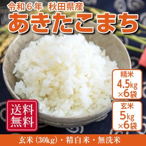 新米アキタコマチ30キロ (農家直産、無農薬)(令和6年産✨新米 新米アキタコマチ30キロ (農家直産、無農薬)(令和6年産✨新米