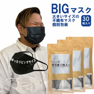 不織布マスク 大きなマスク 大きいサイズ 2Lサイズ ビッグマスク 個別包装 快適な立体マスク3層構造 立体型３Dマスク 耳が痛くならない 