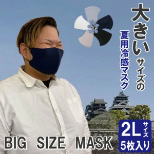 マスク 大きめサイズ 立体型マスク 冷感2Lサイズ 5枚入り 送料無料 BIGマスク 冷感マスク 個別包装 接触冷感 　　スポーツ 洗える おしゃ