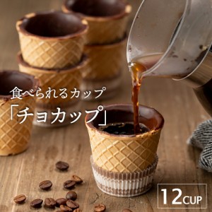 イタリア製 コーンカップ 1箱12個 ワッフルコーン 食べられるカップ CHOCUP チョカップ チョコレート エコショット チョコレートコーティ