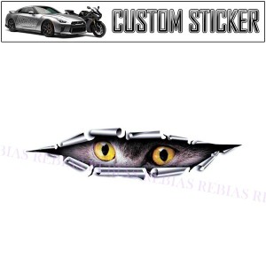 イーグル アイ ステッカー 覗く 鷹 トリックアート 猛禽 カスタム EAGLE のぞく タカ sticker