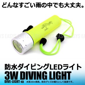 防水 ダイビング LED ライト 3W 防災 グッズ 小型 耐水 懐中電灯 高輝度 単3 電池式 ハンディ キャンプ 夜釣り