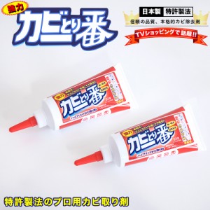 カビとり一番 180g 2本 先細ノズル付 業務用 プロ用 カビ取り剤 カビ 風呂 ふた ゴムパッキン シリコン樹脂 タイル目地 黒ずみ カビ除去 