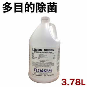 多目的用除菌洗剤 除菌 洗剤 業務用 多目的 洗面 浴室 トイレ 床 拭き掃除 嘔吐物処理 除菌洗剤 レモングリーンDD 大容量 送料無料