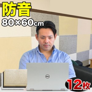 断熱パネル 消音パネル 80cm x60cm 45度カットタイプ 12枚セット YouTuber DIY吸音パネル 高密度フェルト製 防音 賃貸マンションでも床や