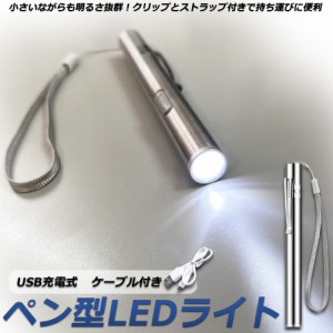 ペンライト led 懐中電灯 USB充電式 ハンディライト  USBケーブル付属 小型 災害 緊急 ツール キャンプ アウトドア 釣り ペンライト キャ