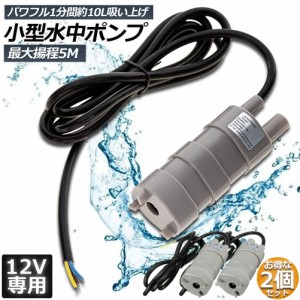 水中ポンプ12v 2個セット 海水 小型 水道水 地下水 排水ポンプ 循環ポンプ 汲み上げ 水ポンプ 給水ポンプ 家庭用 散水ポンプ ポンプ 流量