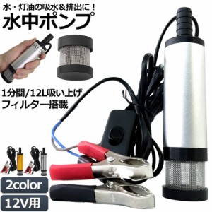 水中ポンプ 12V 小型 ウォーターポンプ 12L/min セットあります ２カラー バッテリークランプ 電動 ポンプ ケーブル 3ｍ スイッチ式 強力