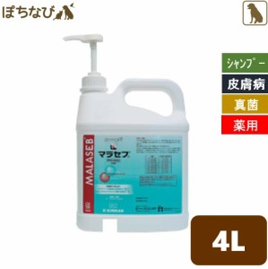 マラセブシャンプー 4L 1ガロン キリカン洋行 マラセチア 皮膚炎 真菌 カビ 抗菌 薬用シャンプー 犬 犬用 動物用医薬品 獣医 病院 おすす