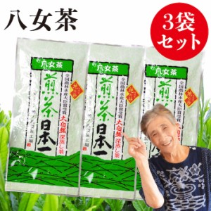 新茶 2024 八女茶 煎茶 送料無料 100g 3袋セット 産地直送 地の抄 お茶 緑茶 日本茶 茶葉 深蒸し茶 国産 冷茶 ご当地 お取り寄せ ポイン