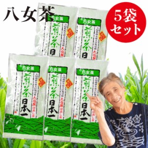 新茶 2024 八女茶 煎茶 送料無料 100g 5袋セット 地の抄 産地直送 お茶 緑茶 茶葉 日本茶 深蒸し茶 煎茶 国産 冷茶 ご当地 お取り寄せ ポ