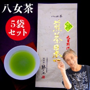 新茶 2024 八女茶 煎茶 送料無料 100g 5袋セット 産地直送 樹の抄 お茶 緑茶 茶葉 日本茶 深蒸し茶 国産 冷茶 茶 葉 深蒸し ご当地 お取