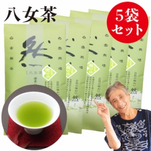 新茶 2024 八女茶 煎茶 送料無料 100g 5袋セット 産地直送 樹の抄 然 お茶 緑茶 茶葉 日本茶 深蒸し茶 煎茶 国産 冷茶 ご当地 お土産 九