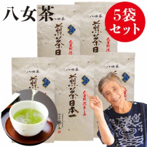 新茶 2024 八女茶 煎茶 送料無料 高級茶 八女茶100g 5袋セット 産地直送 茶 緑茶 茶葉 日本茶 深蒸し茶 煎茶 国産 冷茶 お取り寄せ ポイ