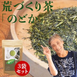 2024 新茶 八女茶 煎茶 送料無料 荒作り茶 のどか 100g 産地直送 3袋セット お茶 緑茶 日本茶 茶葉 深蒸し茶 加工 国産 一番茶 お茶 お土