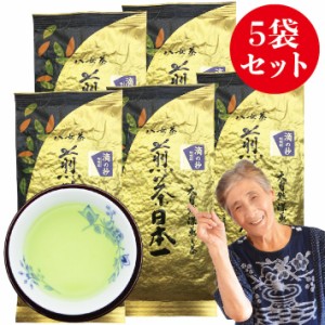 新茶 2024 八女茶 煎茶 送料無料 高級茶 100g 5袋セット 産地直送 滴の抄 お茶 日本茶 茶葉 深蒸し茶 国産 冷茶 お茶 茶 葉 ご当地 お取