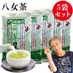 新茶 2024 八女茶 煎茶 送料無料 100g 5袋セット 豊の抄 お茶 緑茶 日本茶 茶葉 深蒸し茶 煎茶 冷茶 深むし 緑茶 深蒸し お取り寄せ ポイ